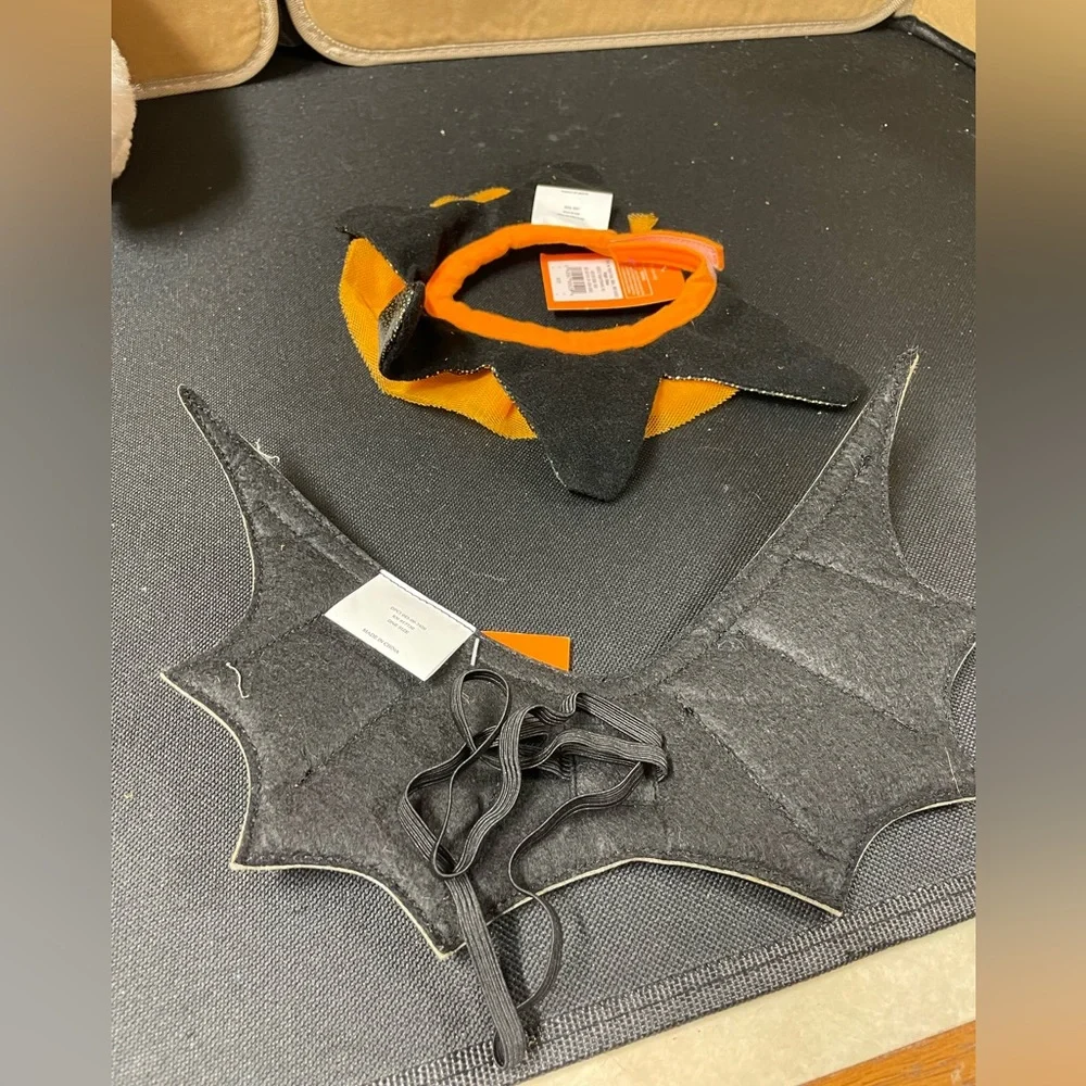 Bat wings & neck ruff bundle